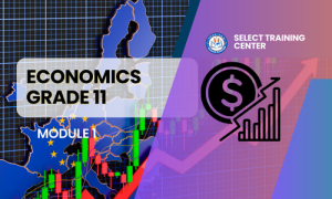 Economics Grade 11: Semester 1